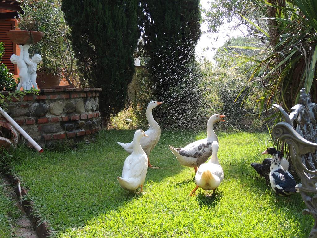 Il Cipresso Del Gallo Монтекатіні-Терме Екстер'єр фото